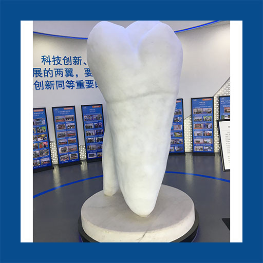 牙道  汉白玉牙齿